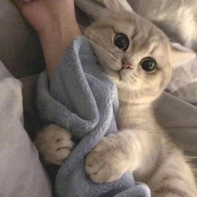 那好吧