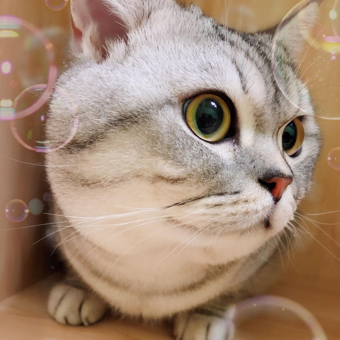 丑萌丑萌