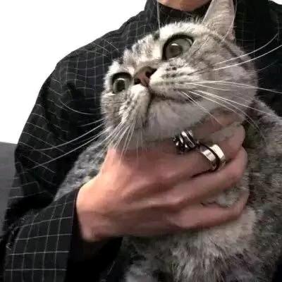 嗨丶小萨