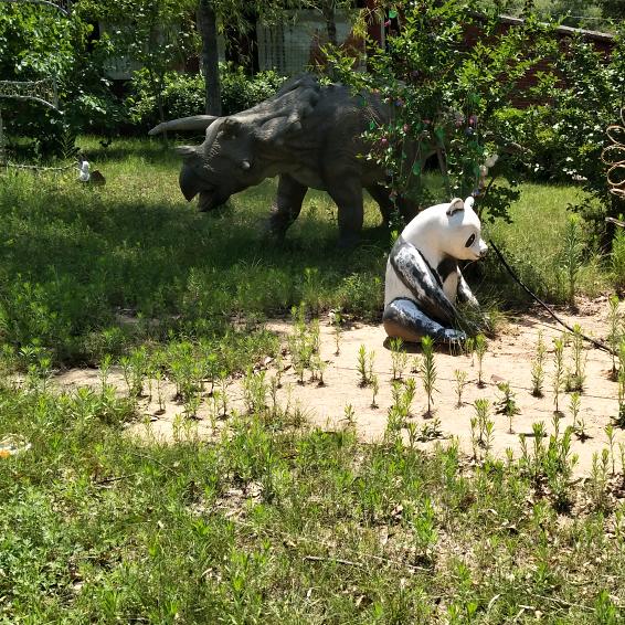 用户向日葵的微笑