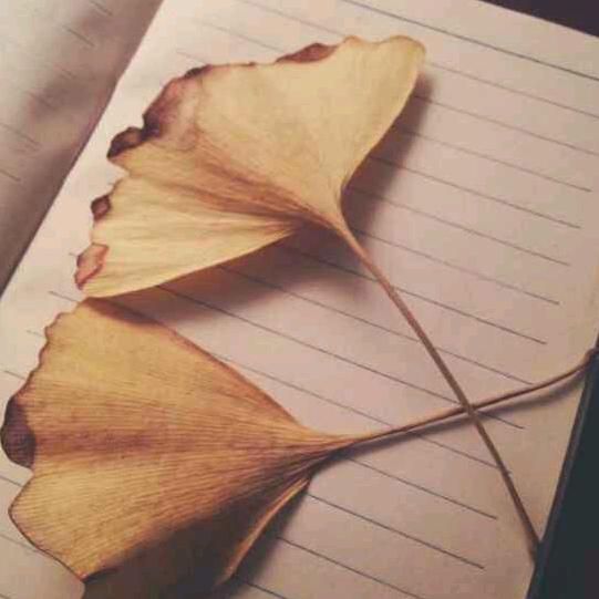 努力向前冲呀呀