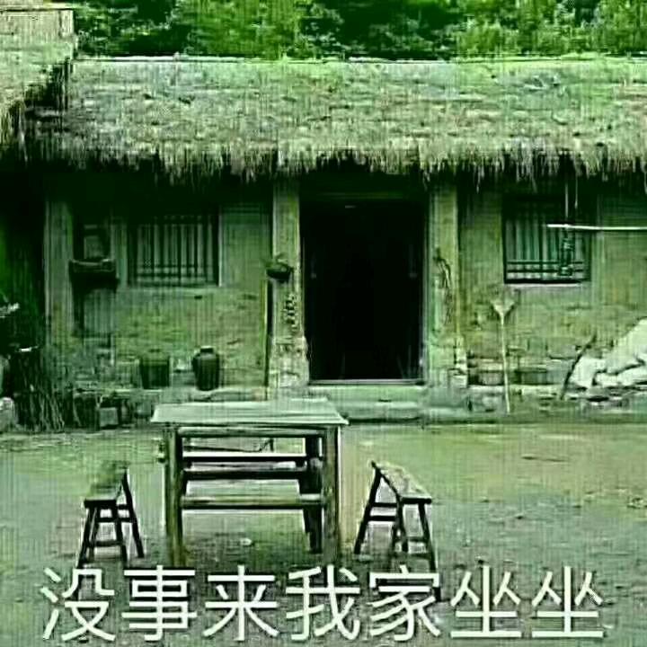 自由飞翔