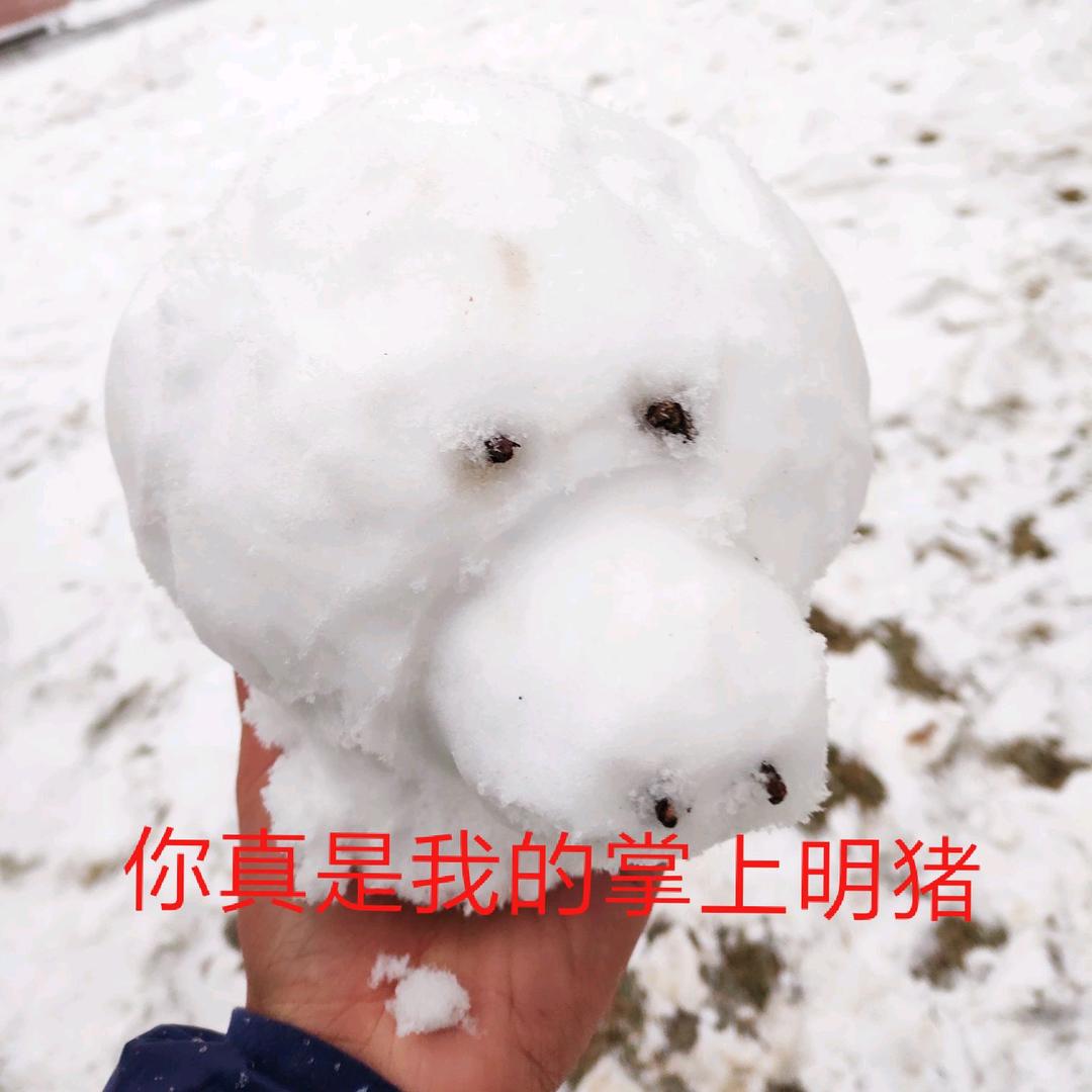 小呆呆