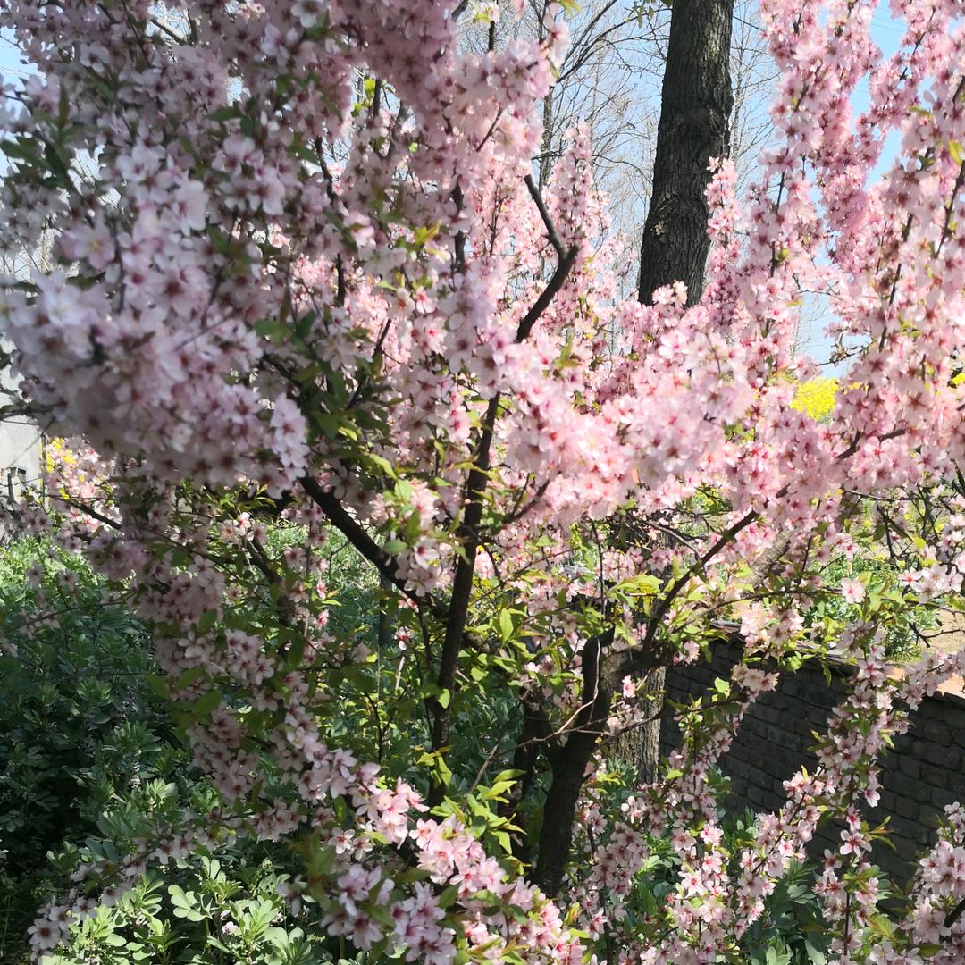 霞光万丈