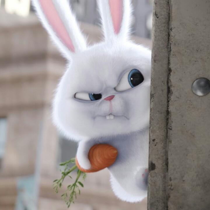 又双叒叕励志减肥