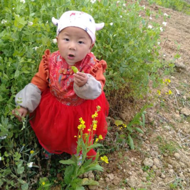 顺其自然🧚🏻‍♀️郑幺妹