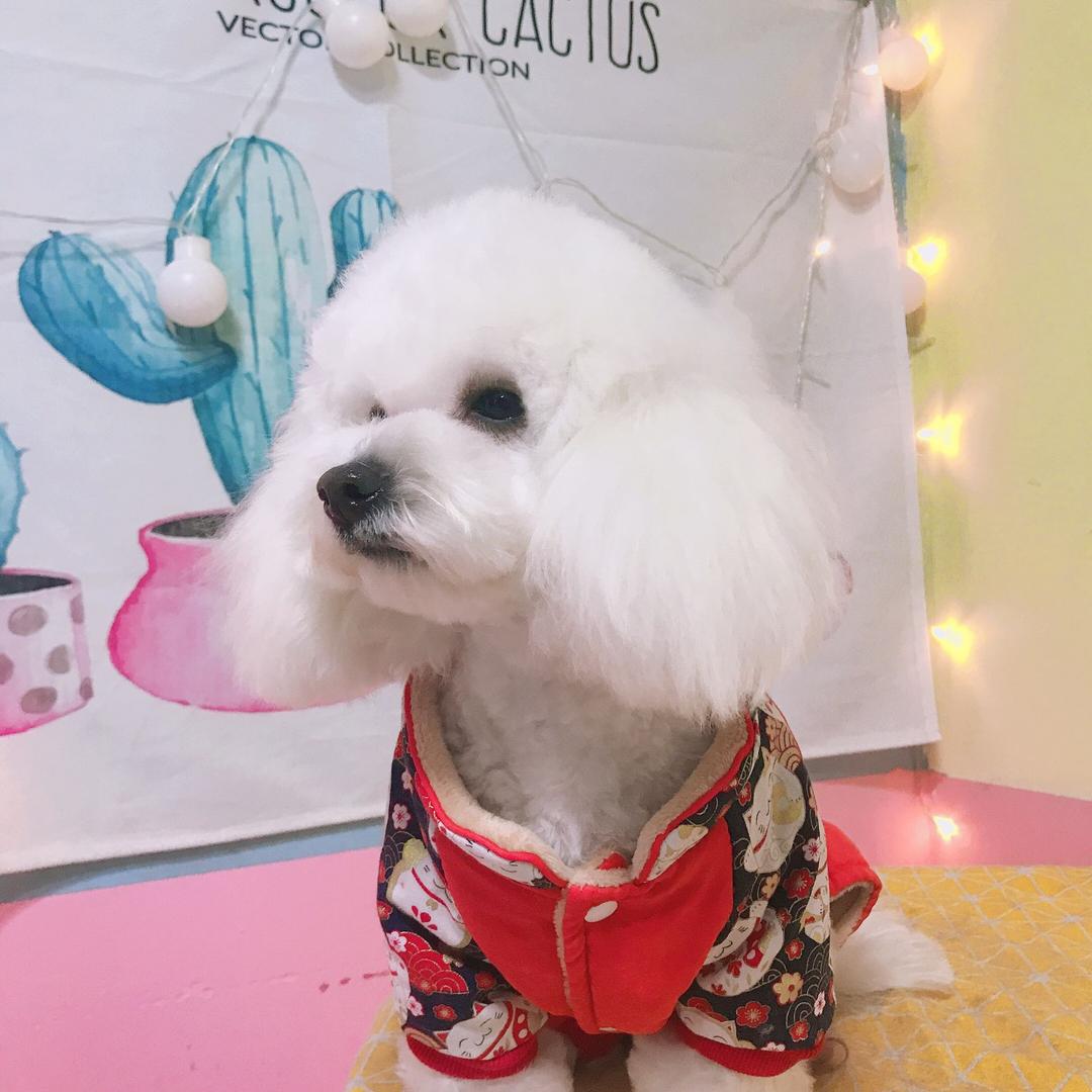 一条幸运🐟的毛线日常