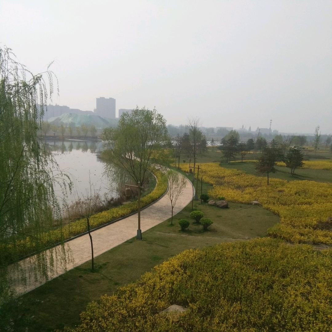 云游 禅心