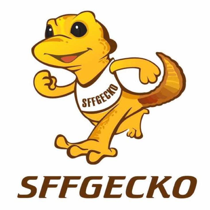 Sffgecko(廖思远）