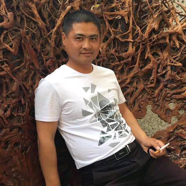 豫.鄂.湖北绿之林绿化草坪