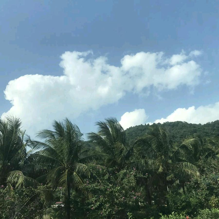 开心每一天