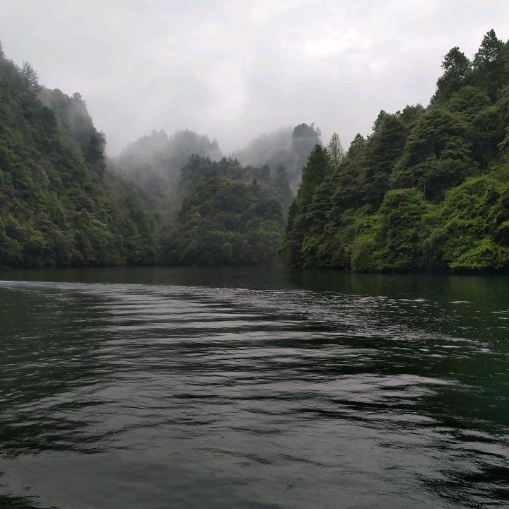 🌈醒着做梦