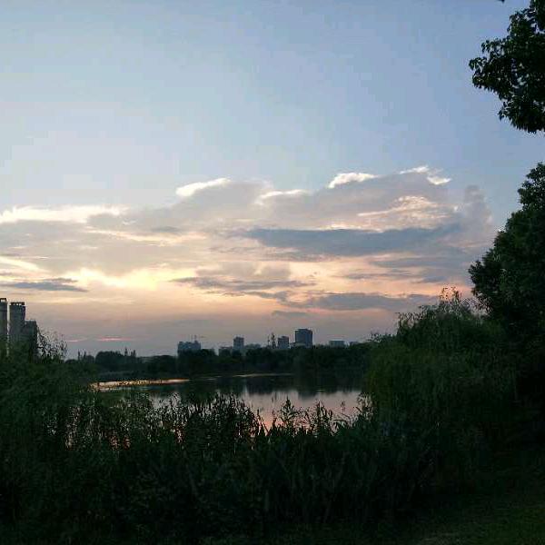 岁月成花