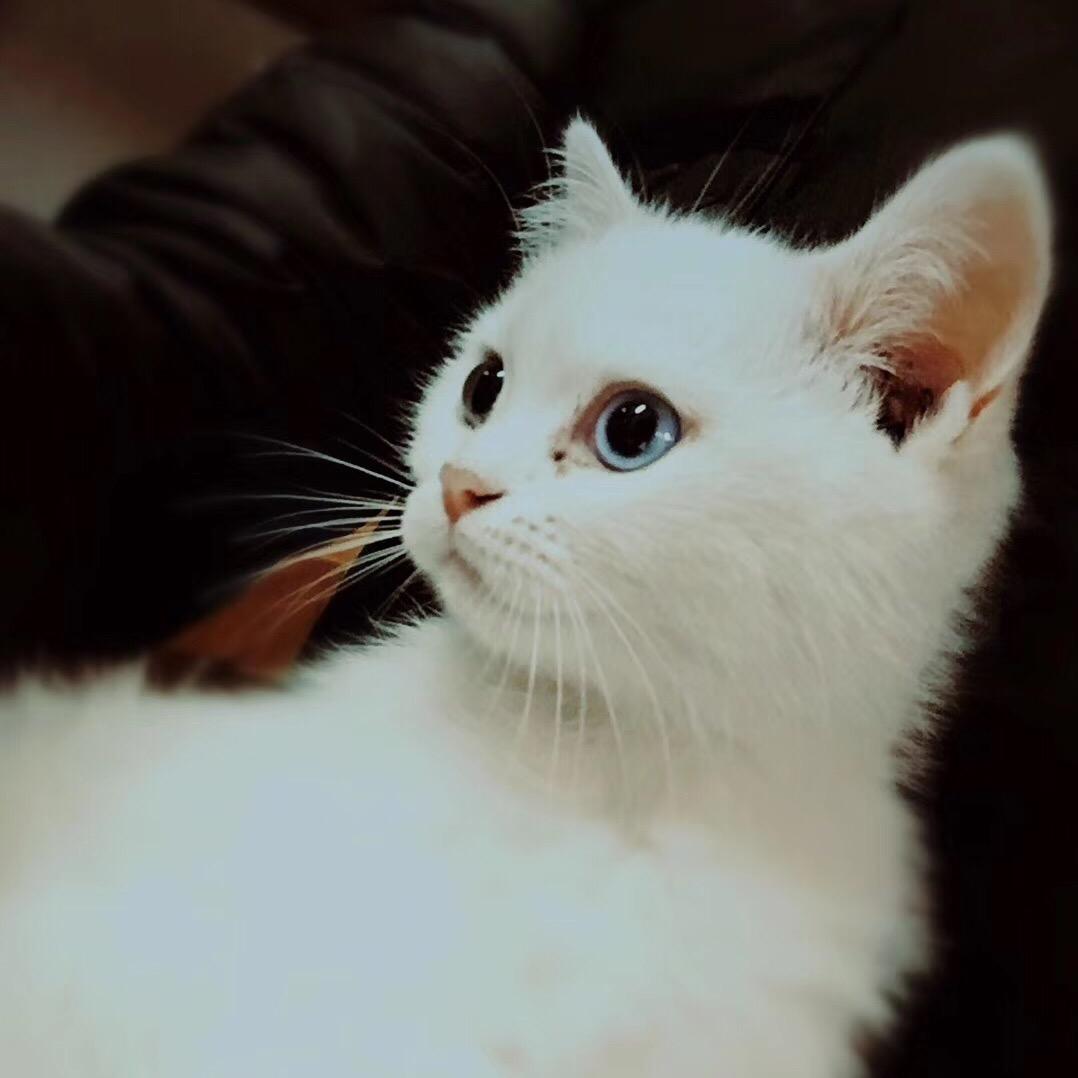 🌈想吃烤肉🌈