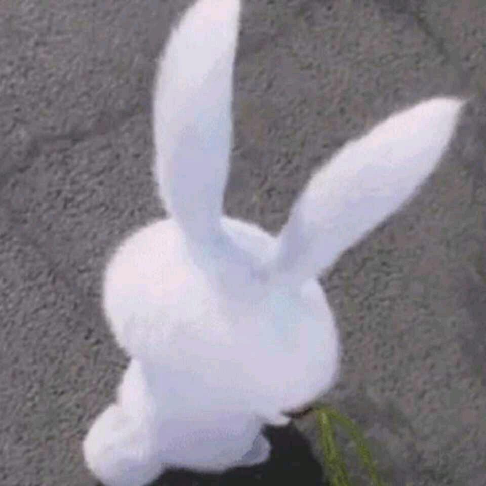 浅墨