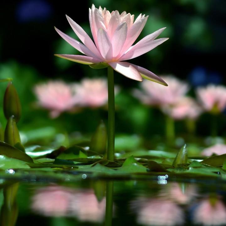 青县永芳人防设备有限公司