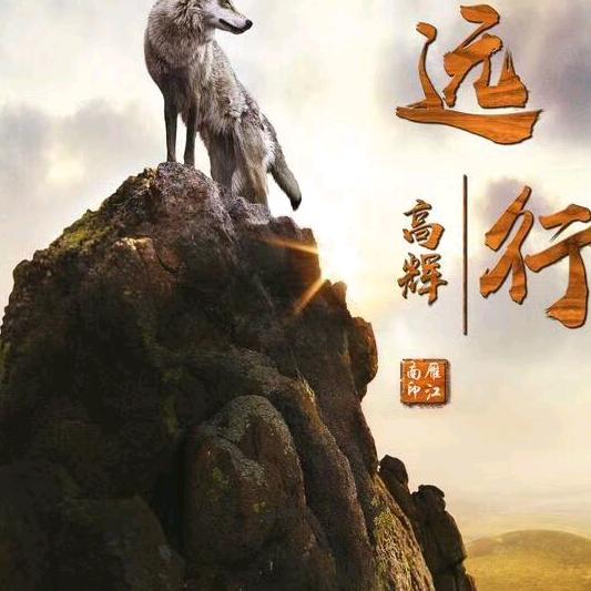 🔥会飞的狼🔥