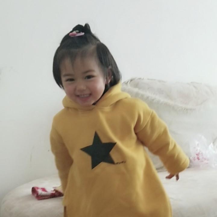 琴