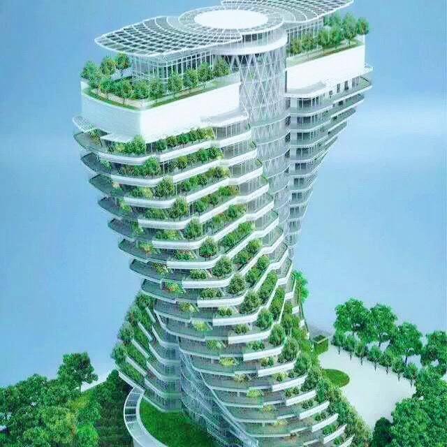 沉默是金