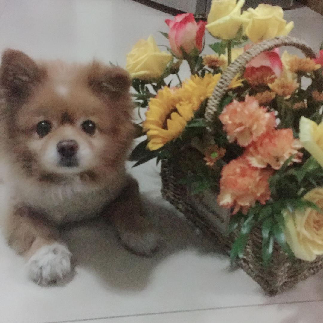 果果<<拒私聊>>