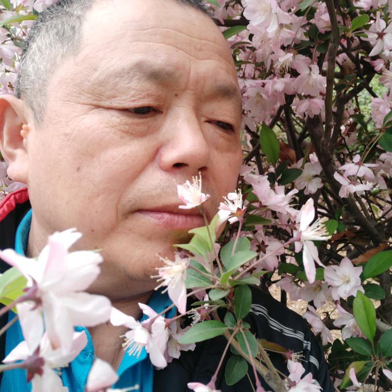 孔家热干面