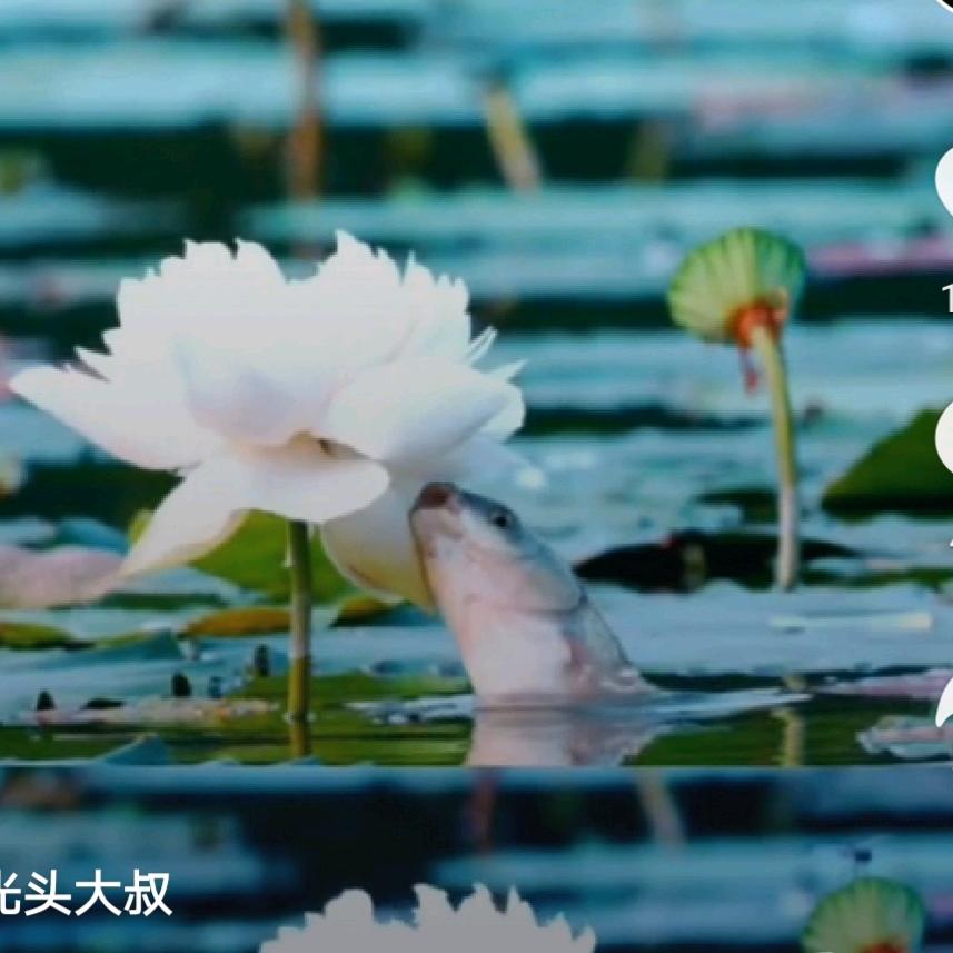感谢有你