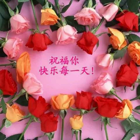 浪迹天涯888