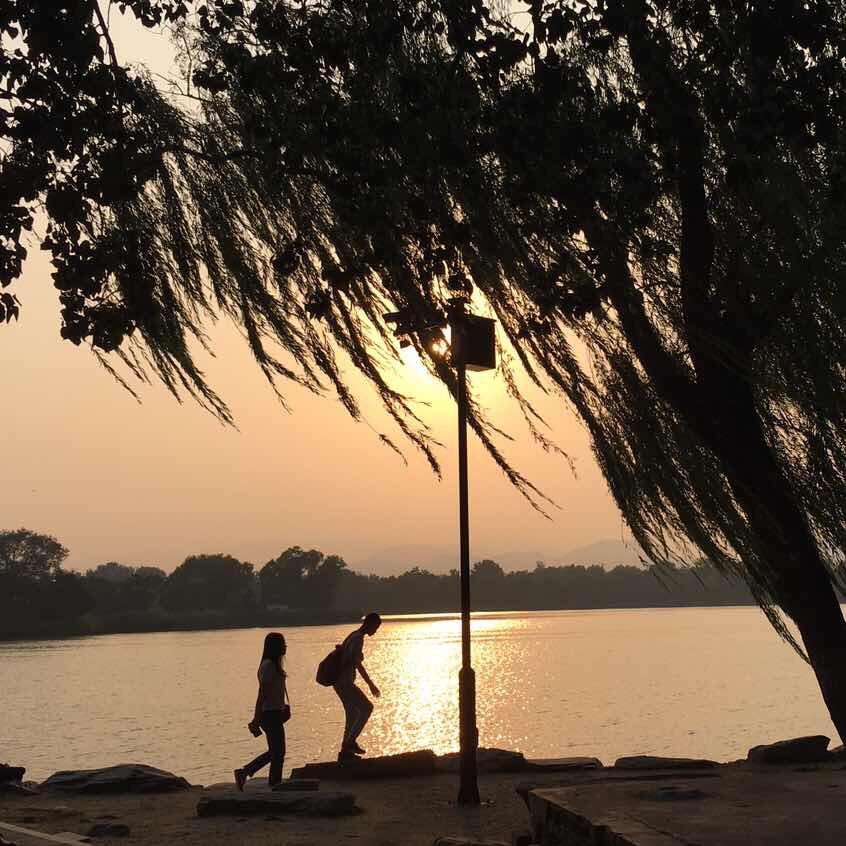 🌈🌈一只奶茶🌈🌈