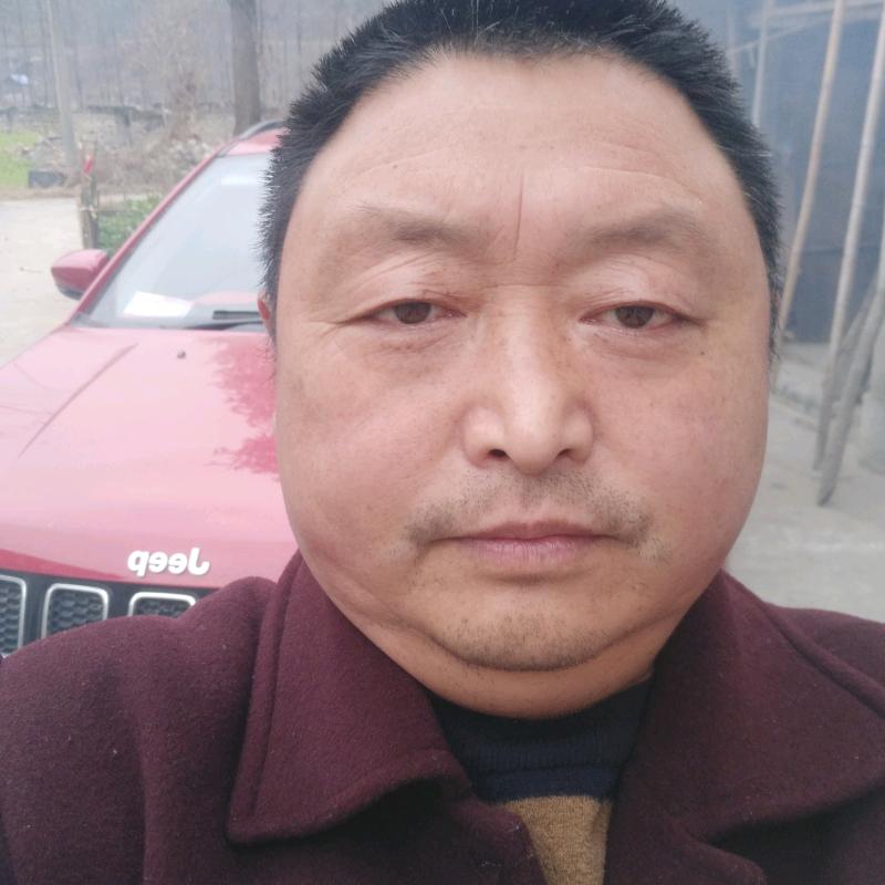 用户杨定忠