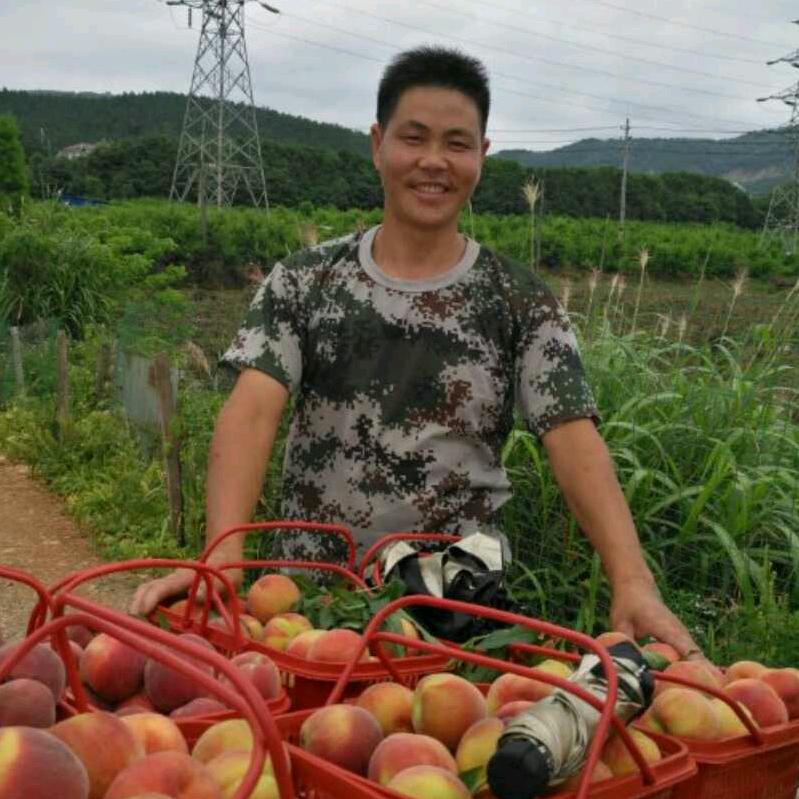 阿根农场