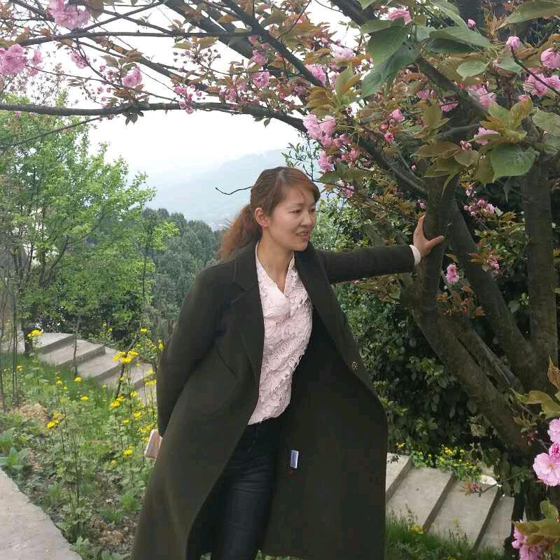 云南李姐姐
