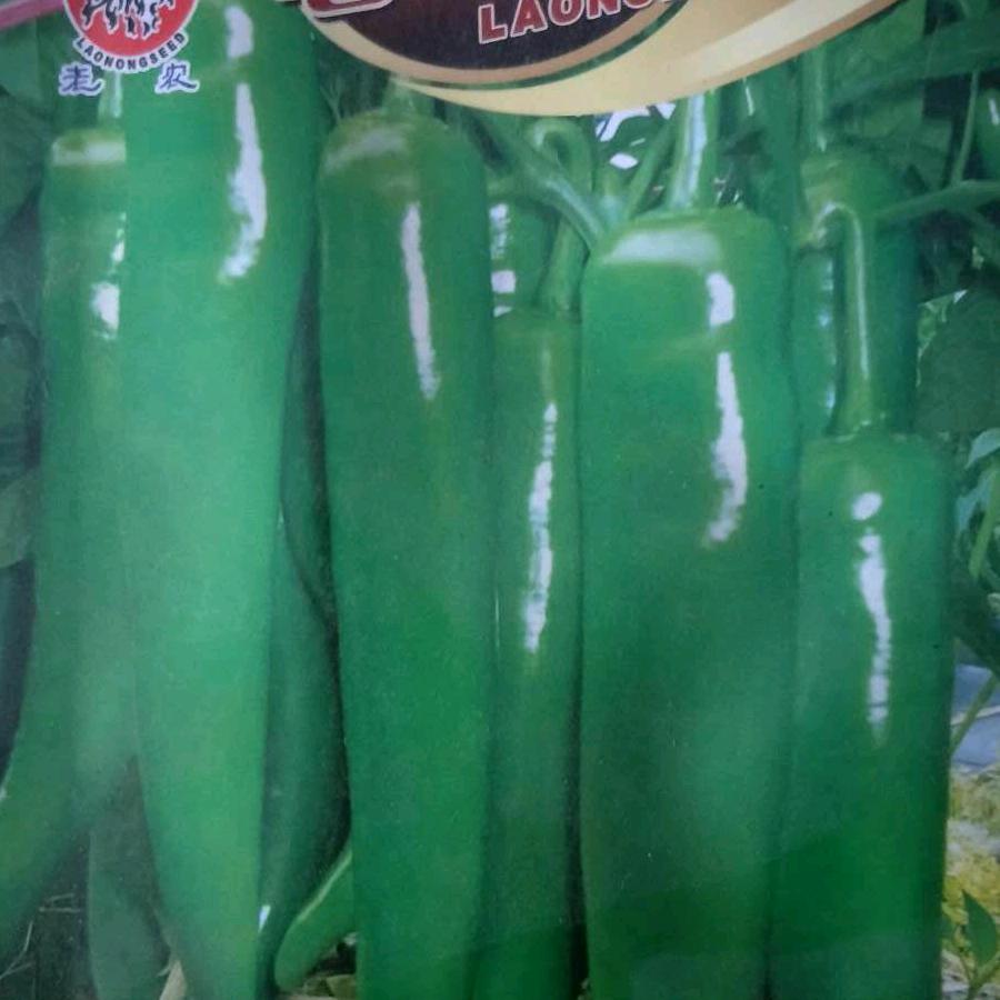 种椒人