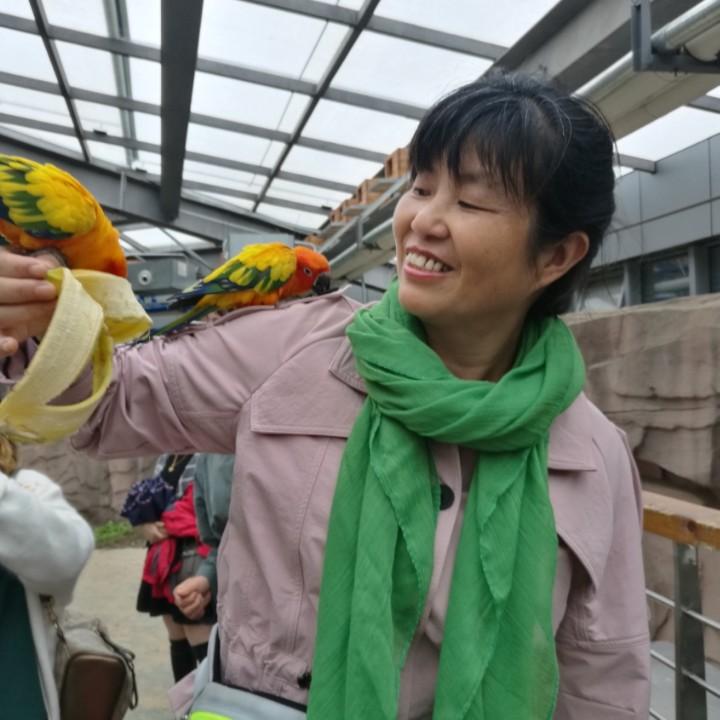 桃之夭夭