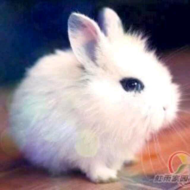 🌈皆成今日我🌈