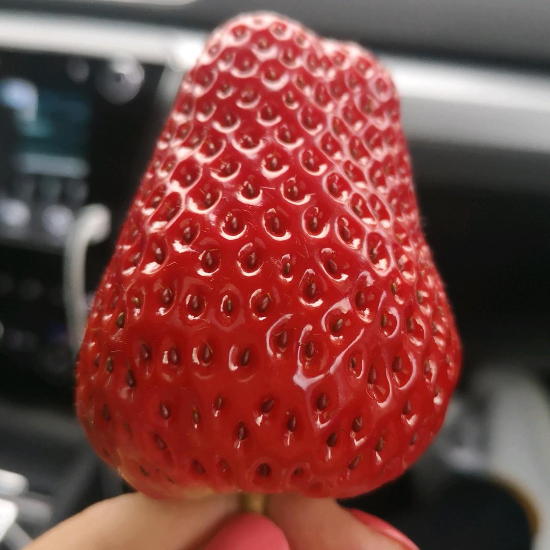 王哈哈