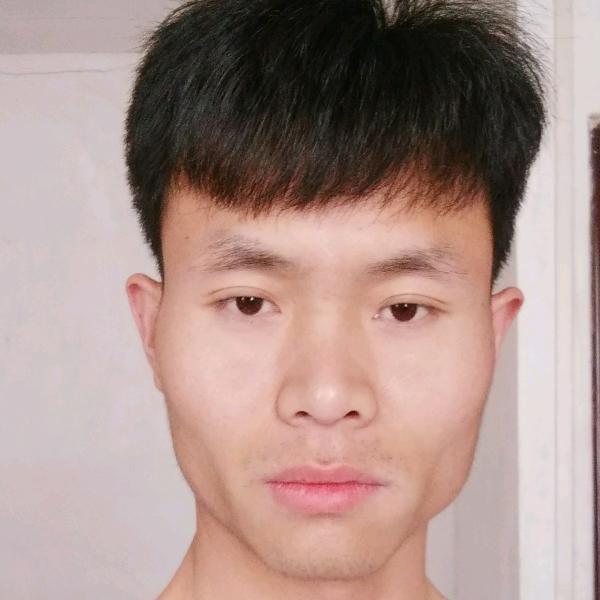 杨杨杨