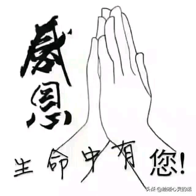 戒情，不戒酒！