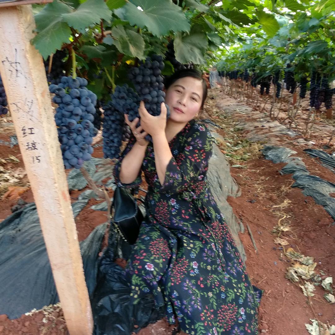 京木王子网名，前村牛肉十前村燃烤