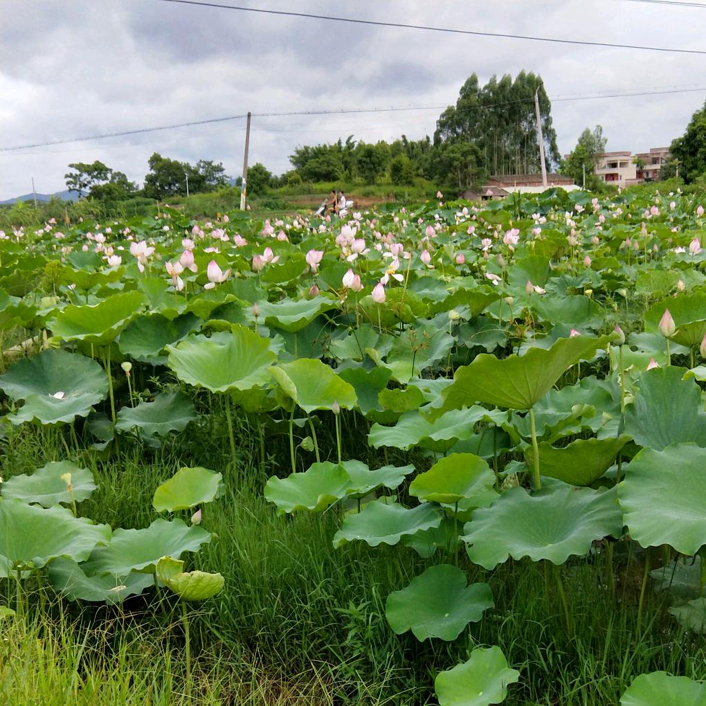 ℋღ᭄一步🍒邓天᭄💞࿐