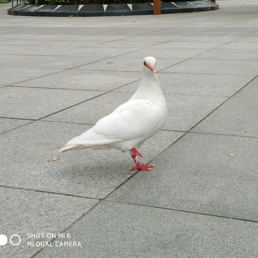 ┾Ｓmile℡墨沫ゞ