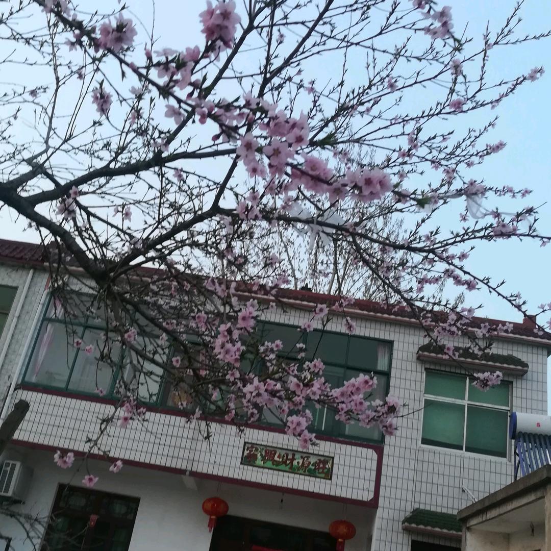 家和万事兴。