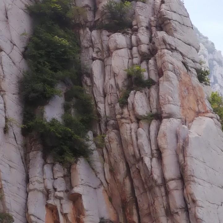 静海惠达