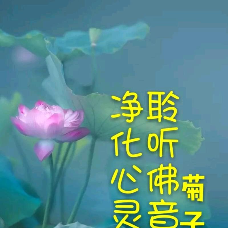 聆听佛音