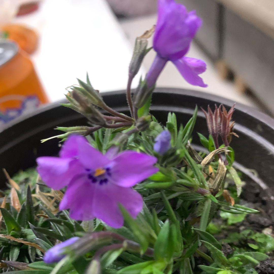 点染江山～赵建营