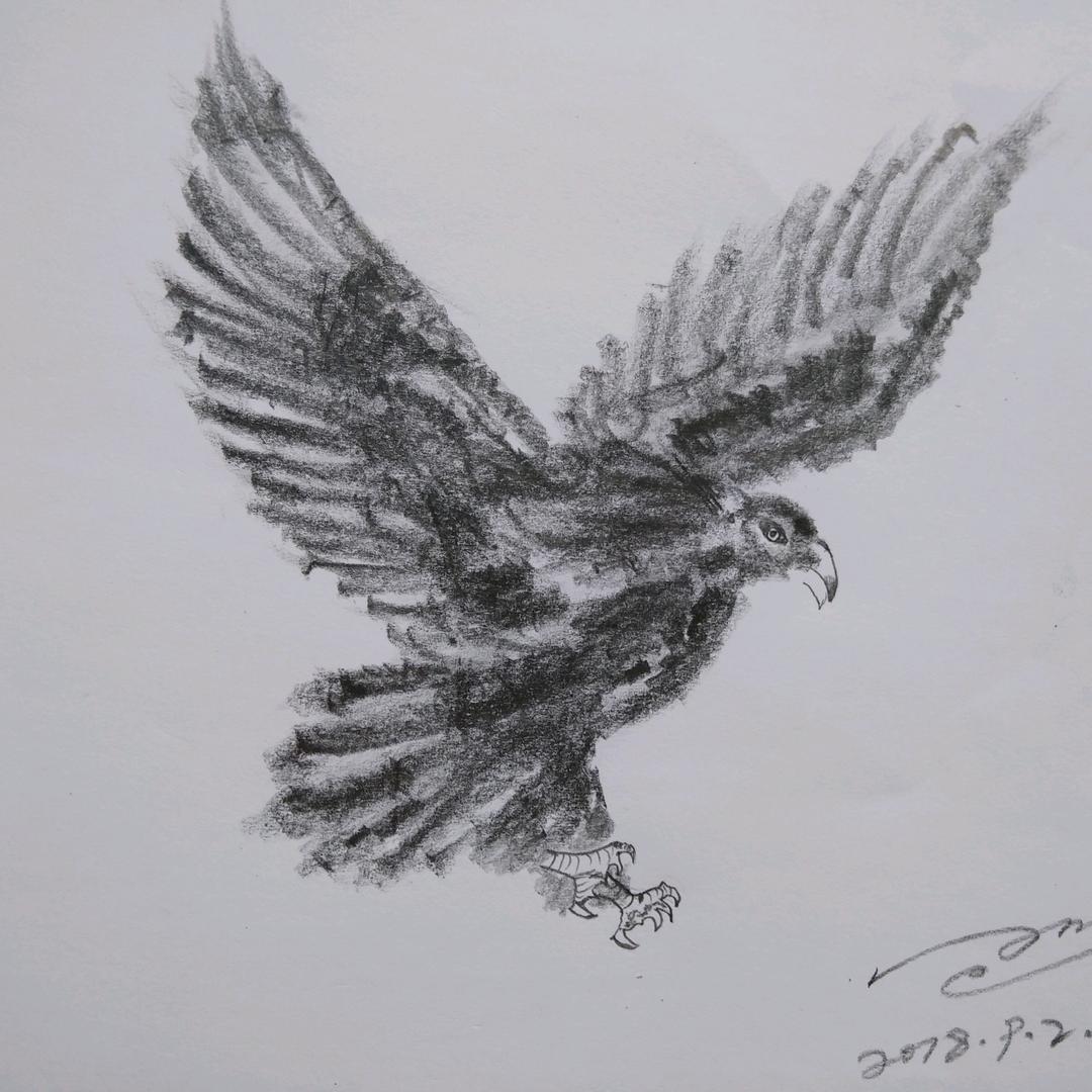 追风……