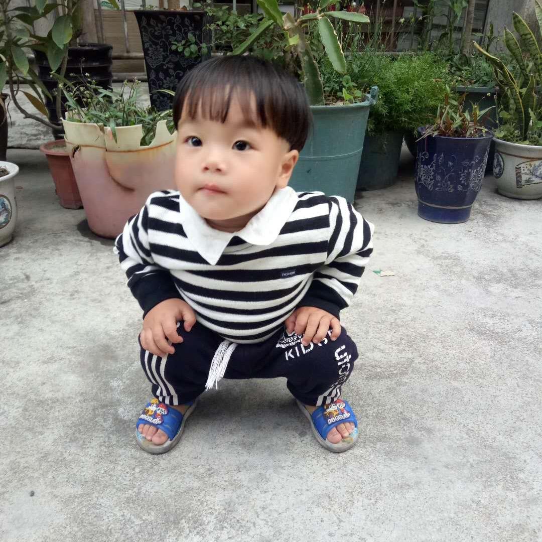 指哥