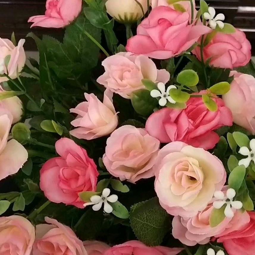 开心快乐每一天