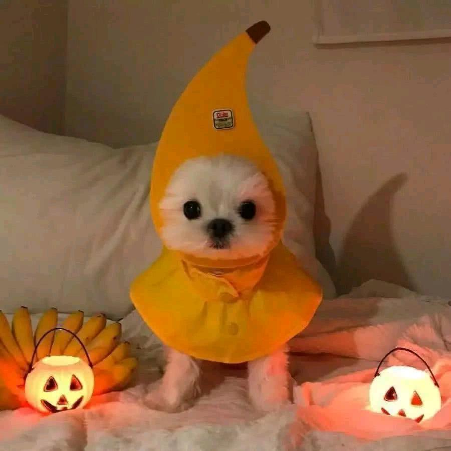 爱吃木耳芥末菜