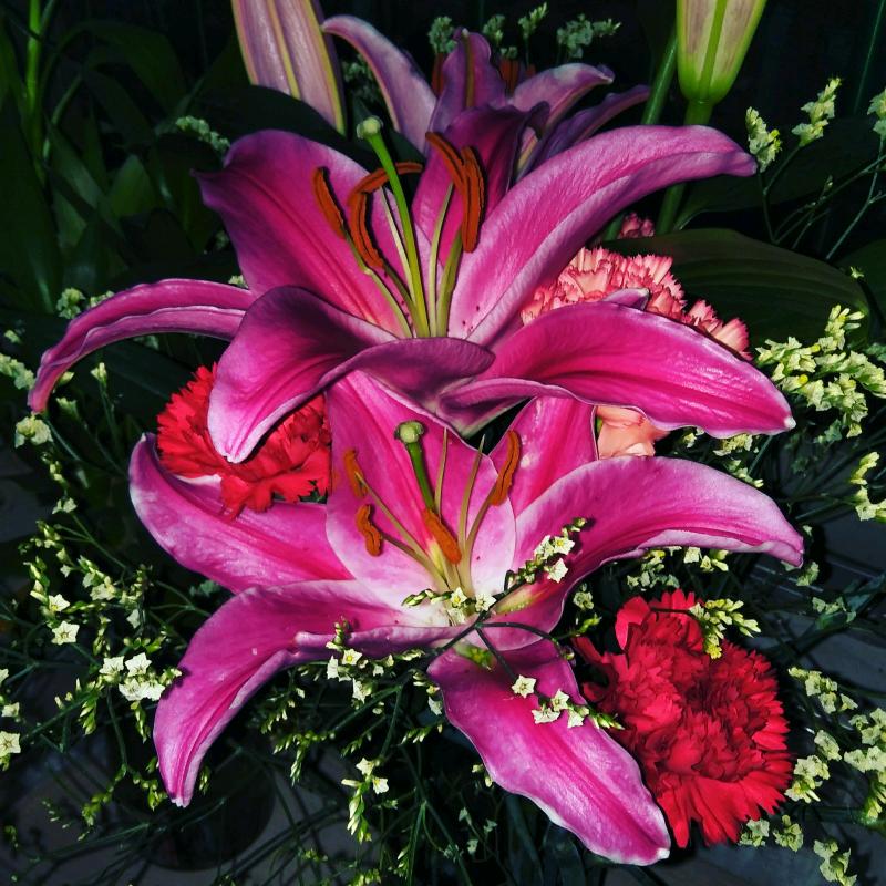 花开富贵。用户2518873303065
