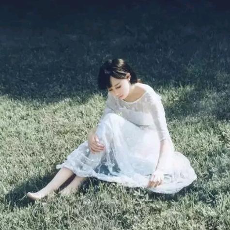 盛开的莲